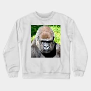 SILVERBACK Crewneck Sweatshirt